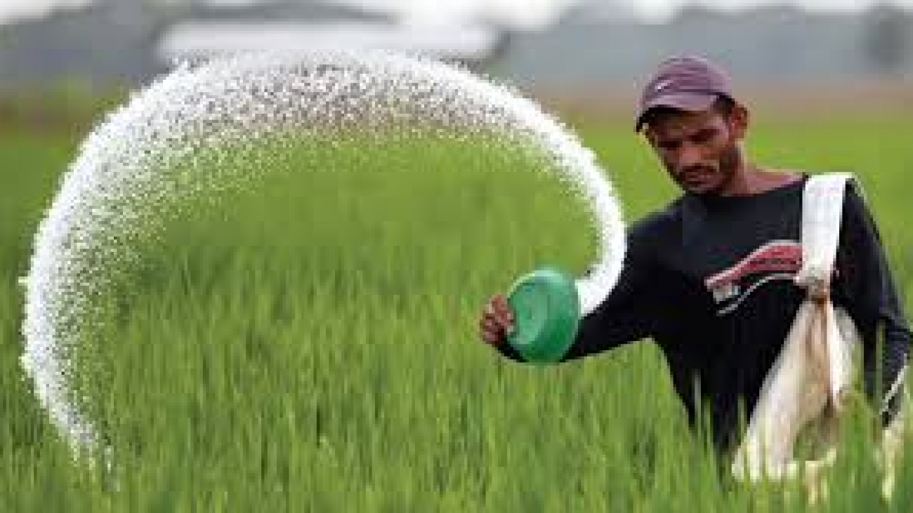 Farmer-using-fertilizer-1