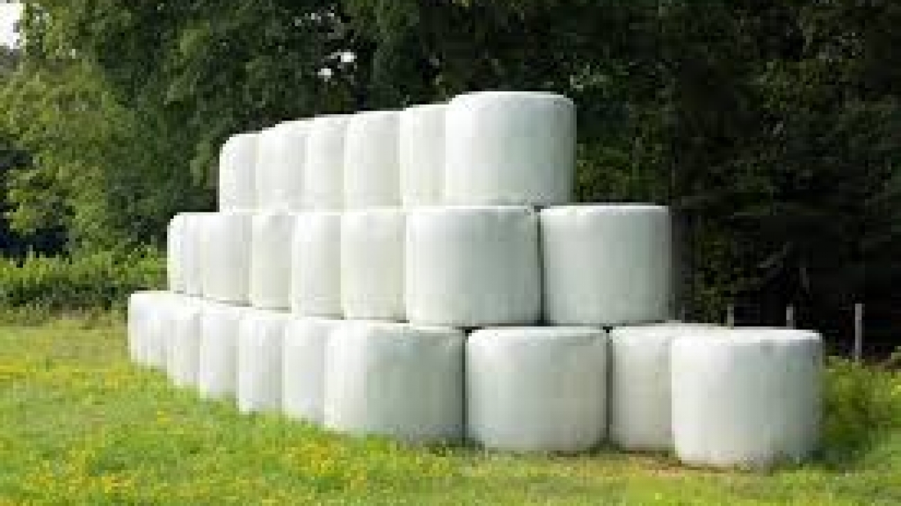 Silage-Bales