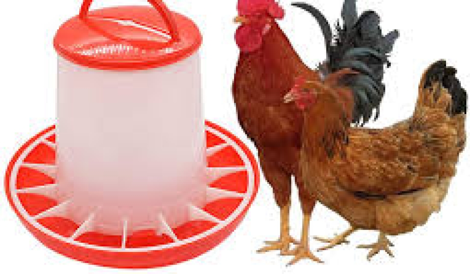 poultry-feeder